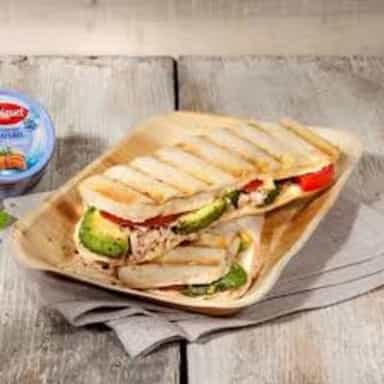 Panini Thon Panini Thon